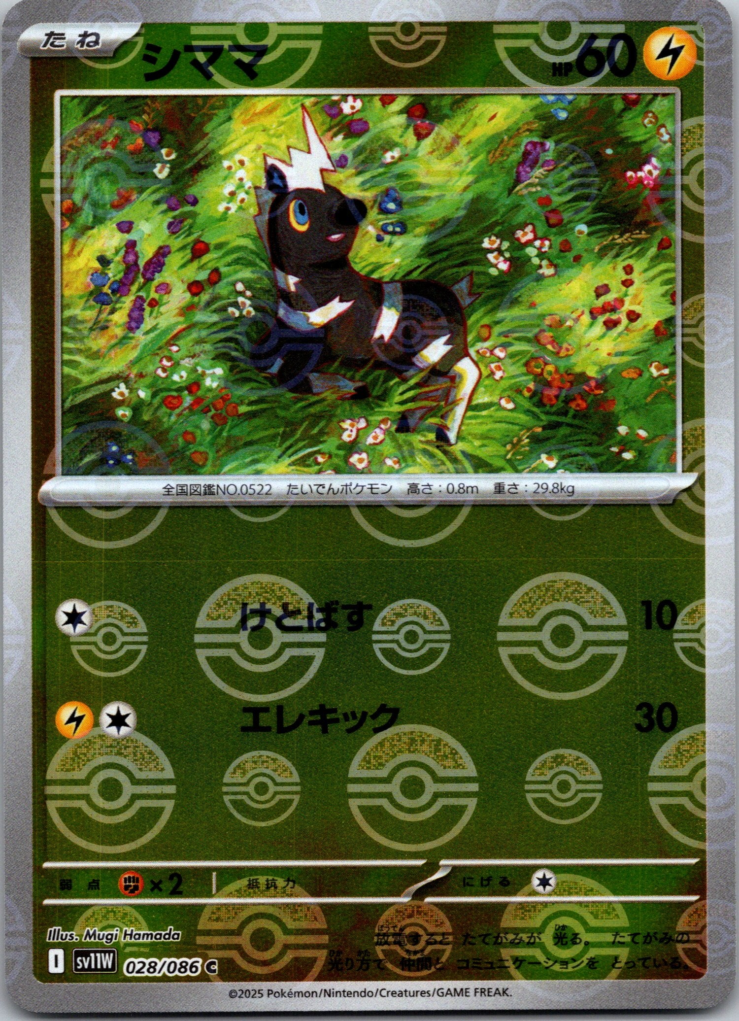 Blitzle - (Poke Ball Pattern)
