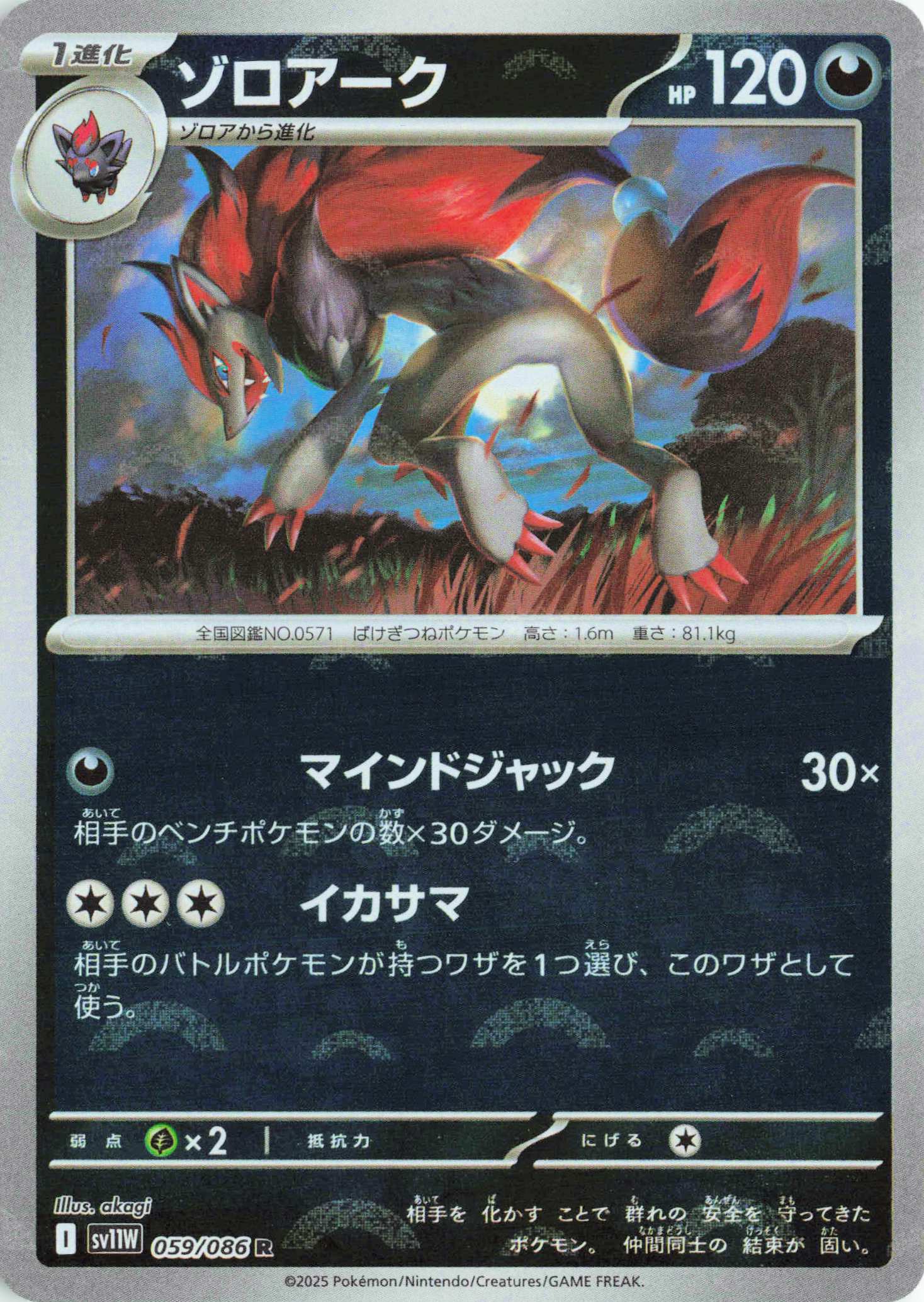 Zoroark - (Poke Ball Pattern)
