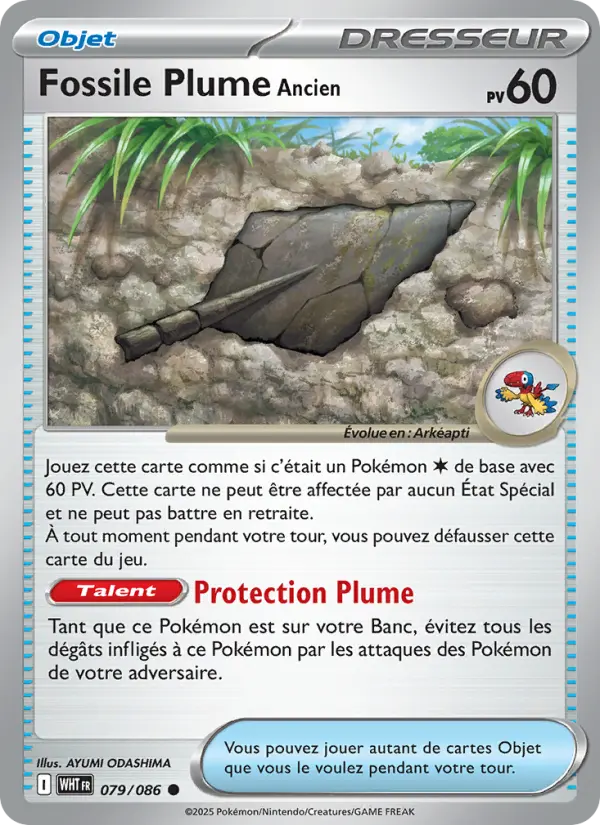 Fossile Plume Ancien 079 Flamme Blanche Commune fr