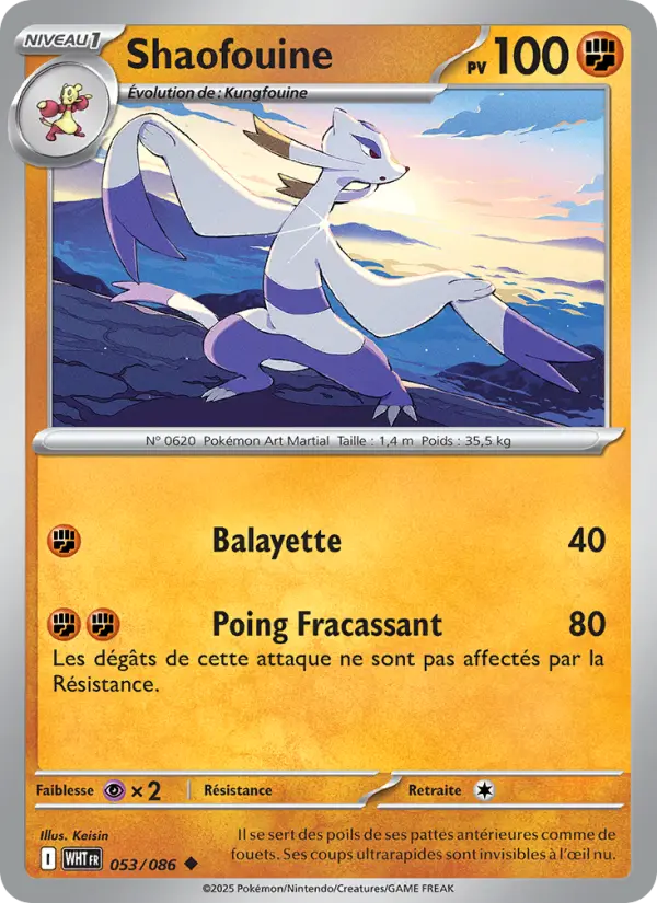 Shaofouine 053 Flamme Blanche Peu Commune fr